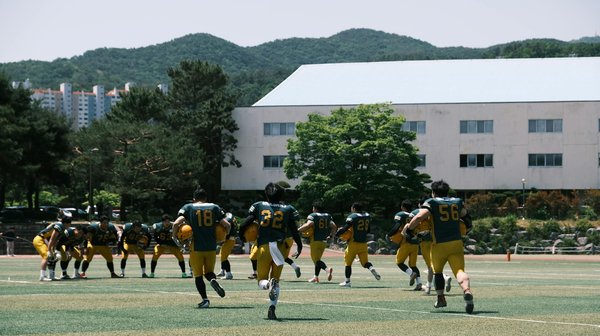 Unverzichtbare Mikronährstoffe für ein starkes Immunsystem im Alter: So pushen Sie Ihre Abwehrkräfte!